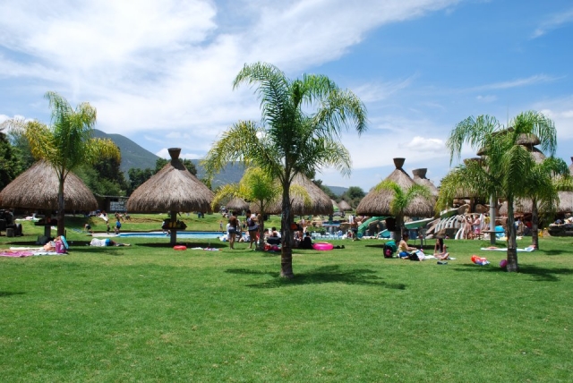 Area verde.jpg